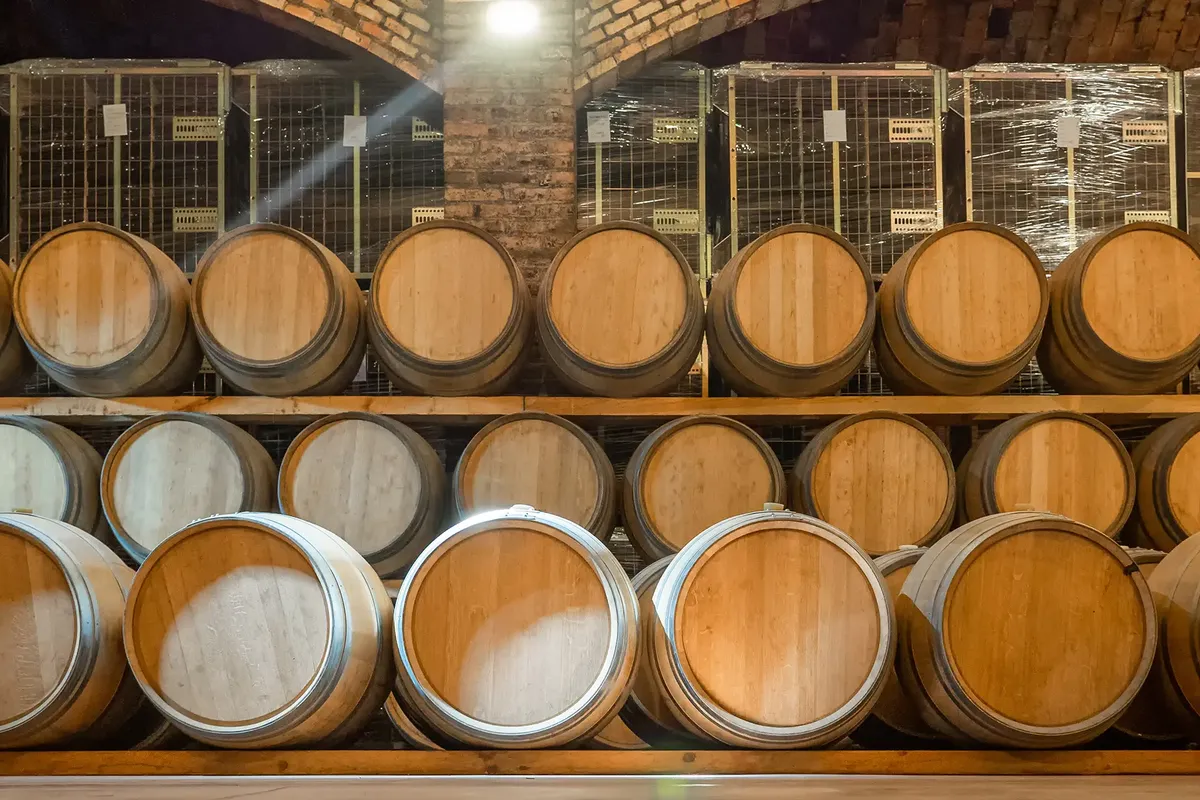 Bodega con cámara frigorífica
