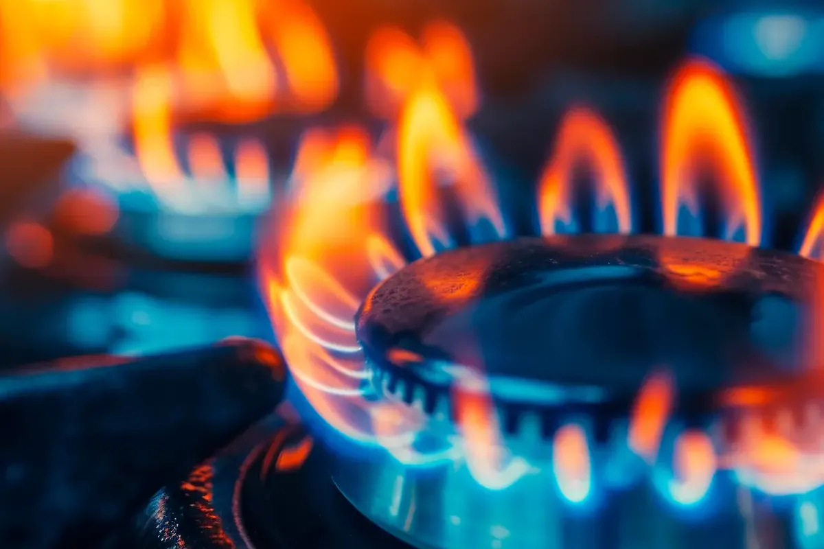 Instalación de gas natural en viviendas y hogares particulares en Granada